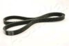ASHIKA 112-4PK1180 V-Ribbed Belts
